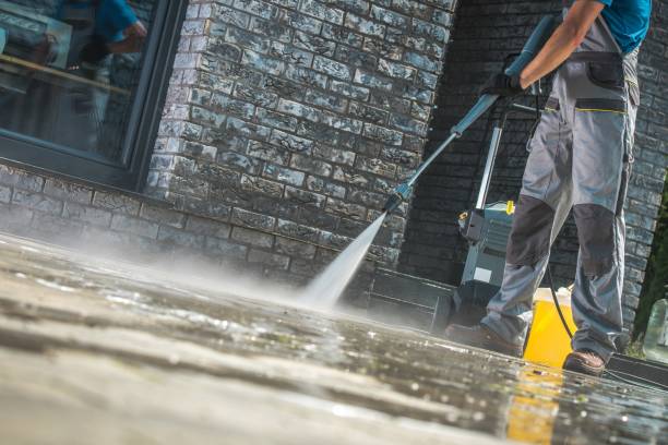Best Animal Enclosure Cleaning  in Thatcher, AZ